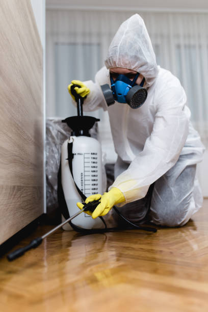 Indoor Pest Control in Hasson Heights, PA